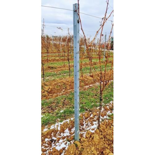 Vinařský sloupek NS řadový, délka 2,5m